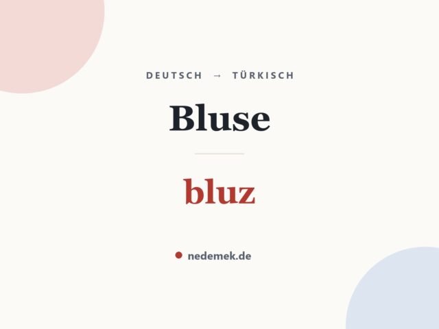 Bluse auf Türkisch: bluz