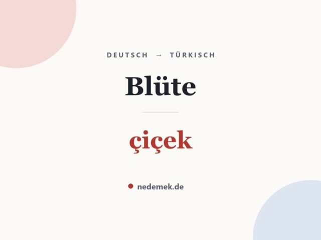 Blüte auf Türkisch: çiçek