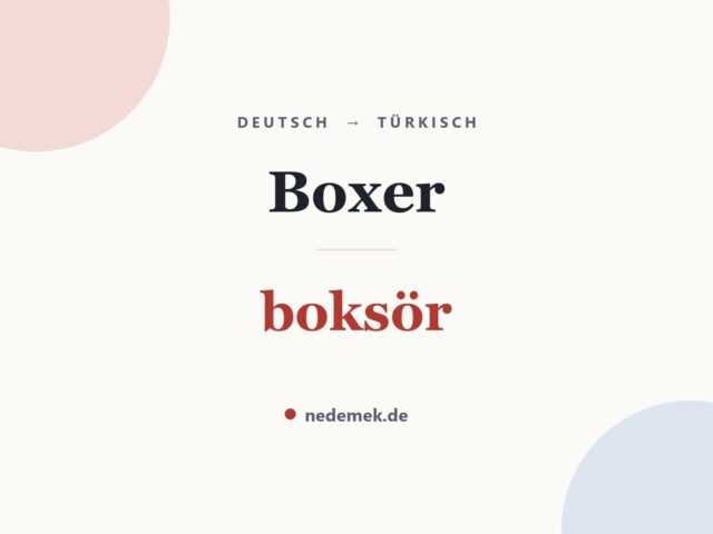 Boxer auf Türkisch: boksör
