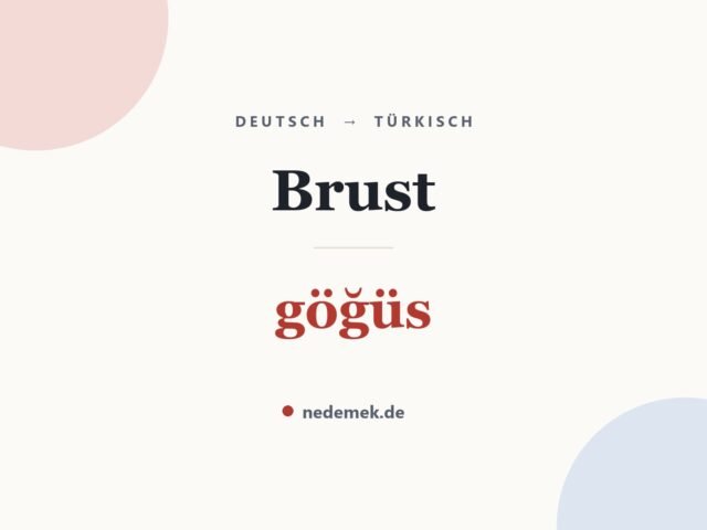 Brust auf Türkisch: göğüs