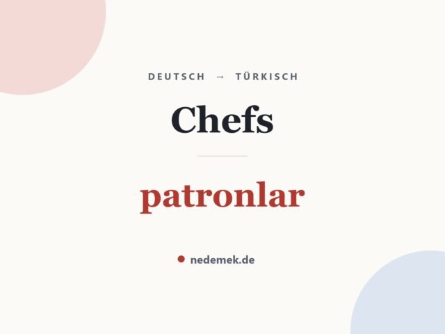 Chefs auf Türkisch: patronlar
