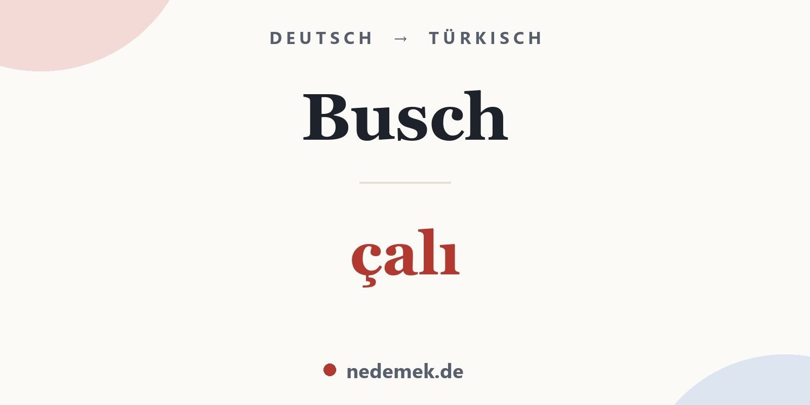 Busch auf Türkisch: çalı