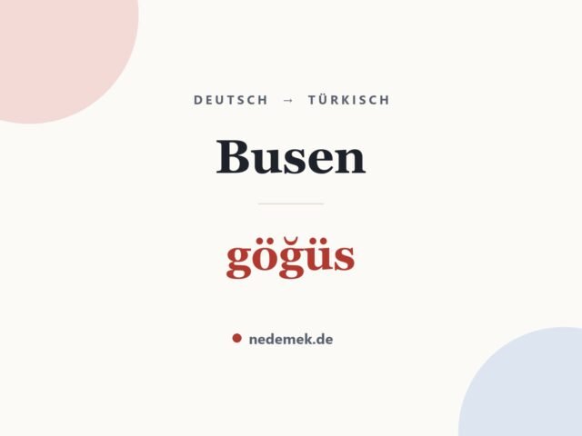 Busen auf Türkisch: göğüs