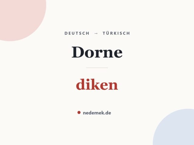 Dorne auf Türkisch: diken