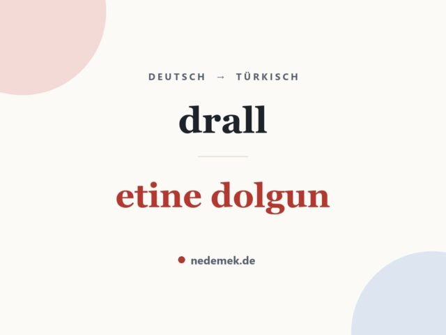 drall auf Türkisch: etine dolgun