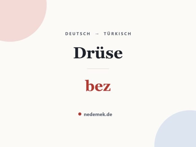 Drüse auf Türkisch: bez