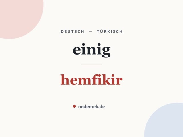 einig auf Türkisch: hemfikir
