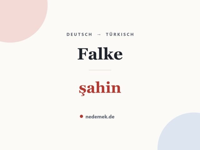 Falke auf Türkisch: şahin