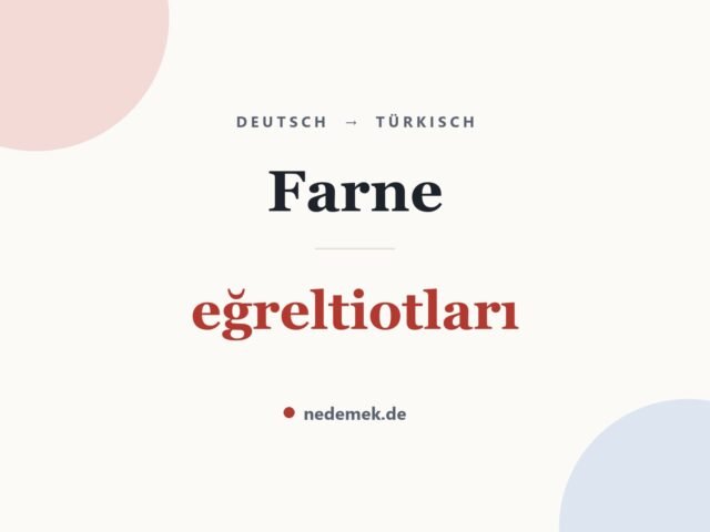 Farne auf Türkisch: eğreltiotları