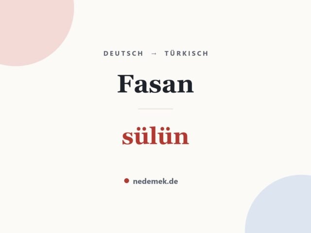 Fasan auf Türkisch: sülün