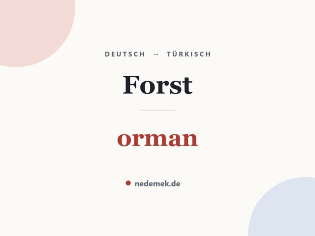 Forst auf Türkisch: orman