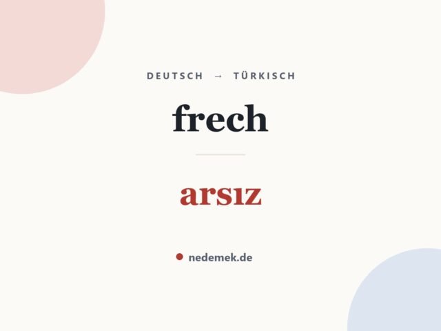 frech auf Türkisch: arsız