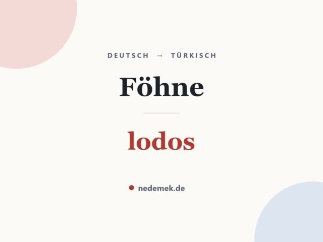 Föhne auf Türkisch: lodos