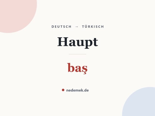 Haupt auf Türkisch: baş