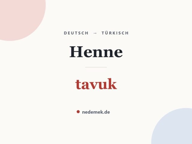 Henne auf Türkisch: tavuk