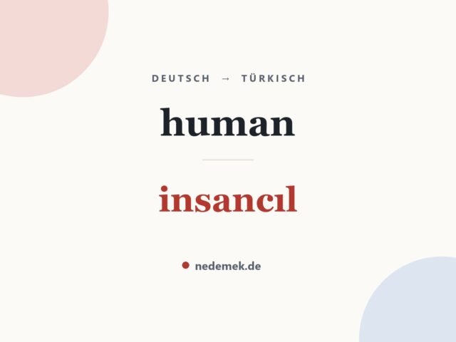 human auf Türkisch: insancıl