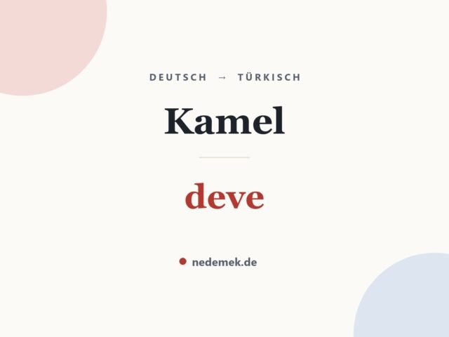 Kamel auf Türkisch: deve