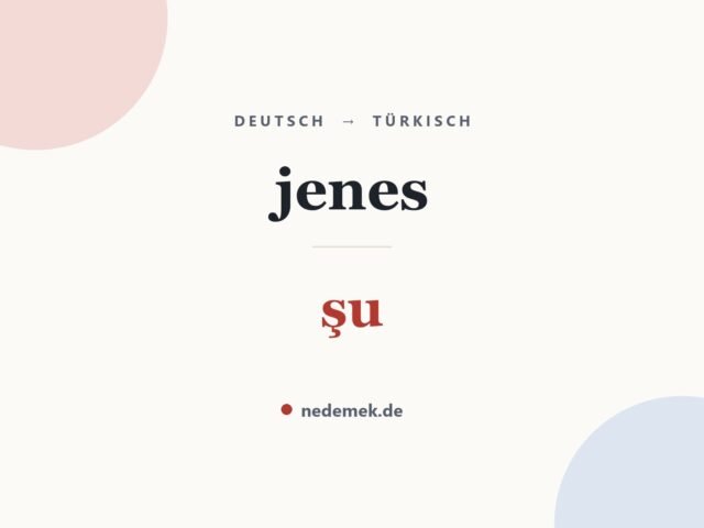jenes auf Türkisch: şu