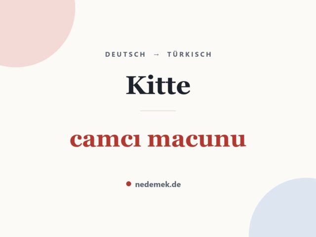 Kitte auf Türkisch: camcı macunu