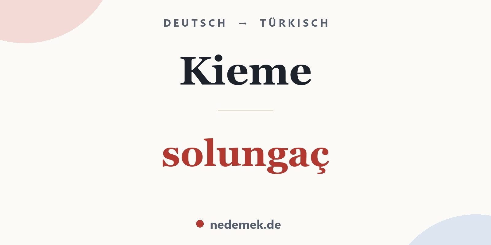 Kieme auf Türkisch: solungaç
