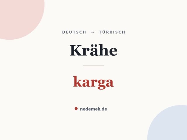 Krähe auf Türkisch: karga