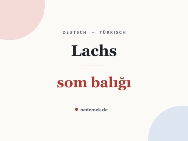 Lachs auf Türkisch: som balığı
