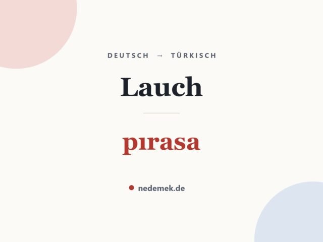 Lauch auf Türkisch: pırasa