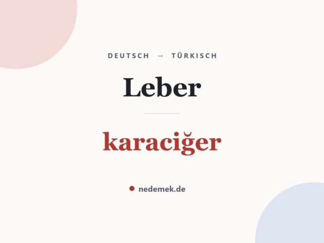 Leber auf Türkisch: karaciğer