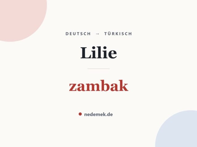 Lilie auf Türkisch: zambak