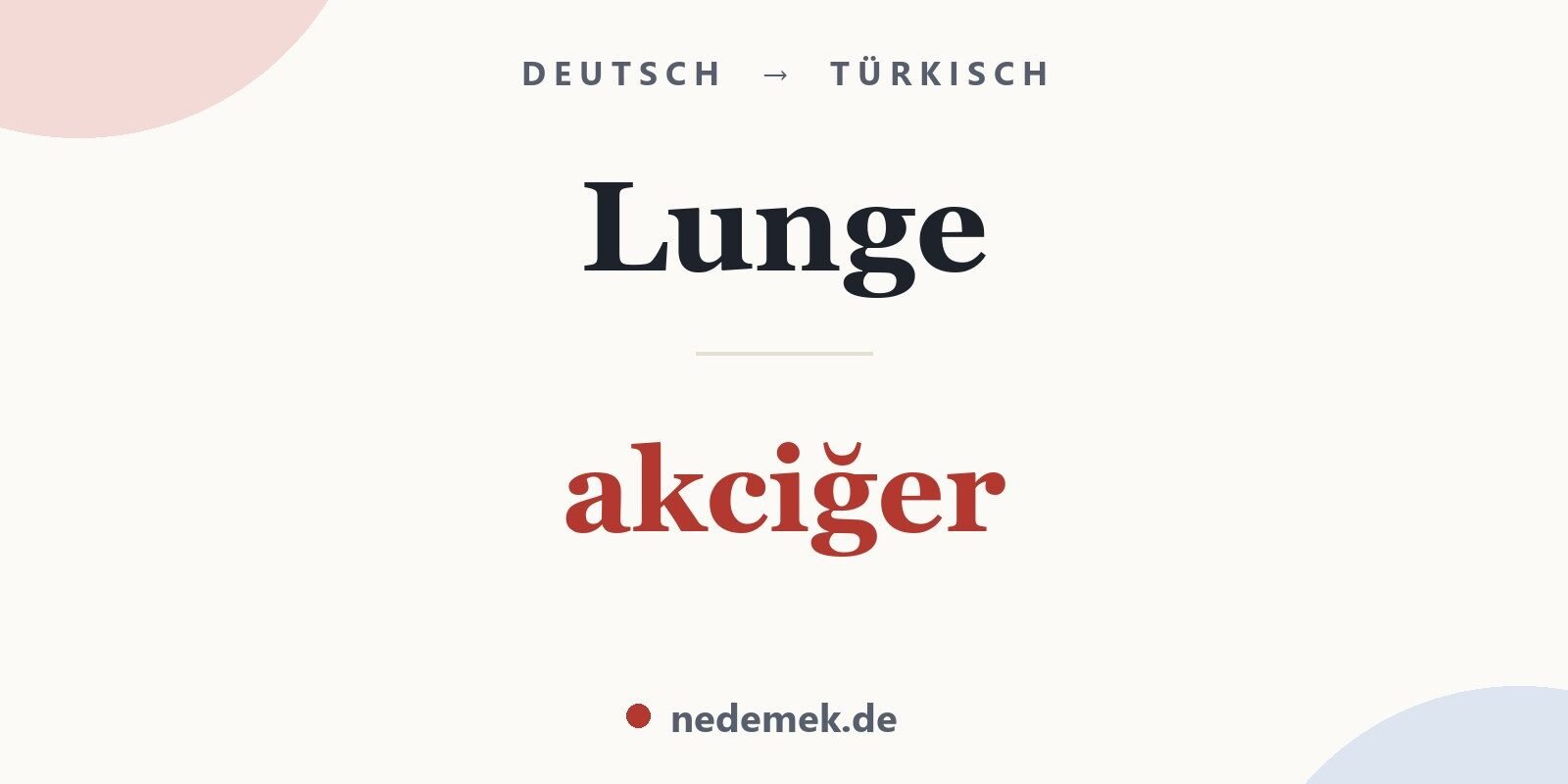 Lunge auf Türkisch: akciğer