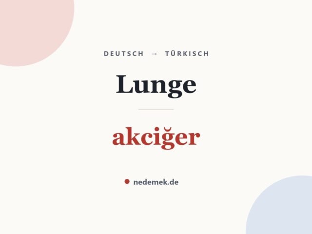 Lunge auf Türkisch: akciğer