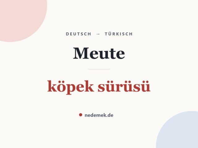 Meute auf Türkisch: köpek sürüsü