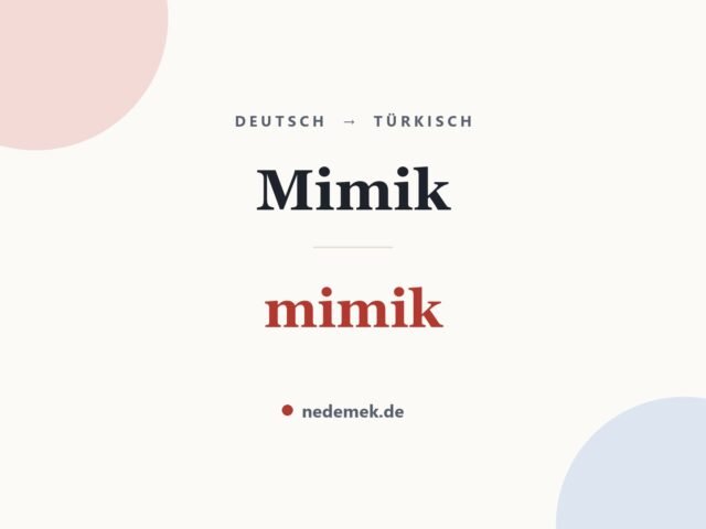 Mimik auf Türkisch: mimik