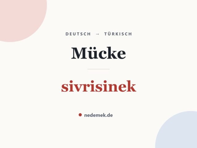 Mücke auf Türkisch: sivrisinek