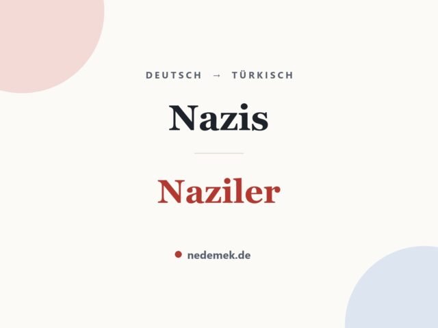 Nazis auf Türkisch: Naziler