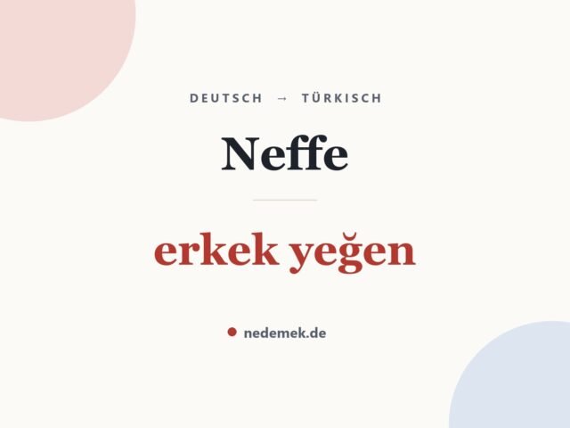 Neffe auf Türkisch: erkek yeğen