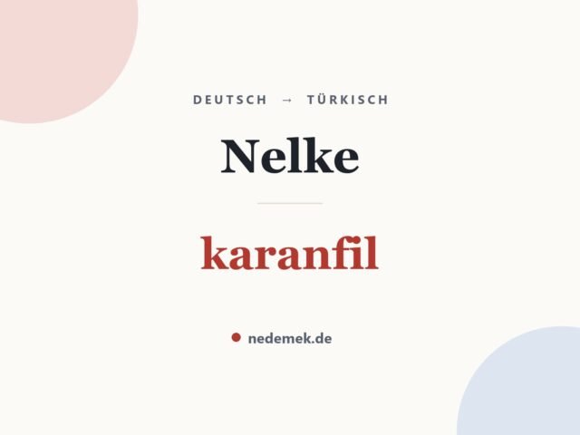 Nelke auf Türkisch: karanfil