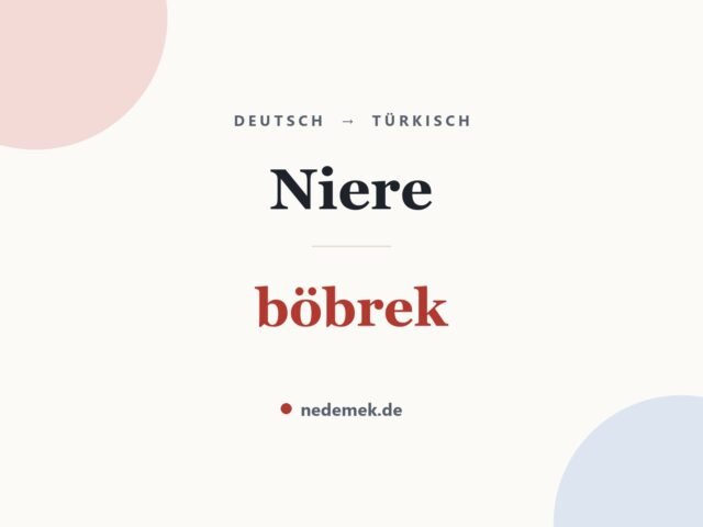 Niere auf Türkisch: böbrek