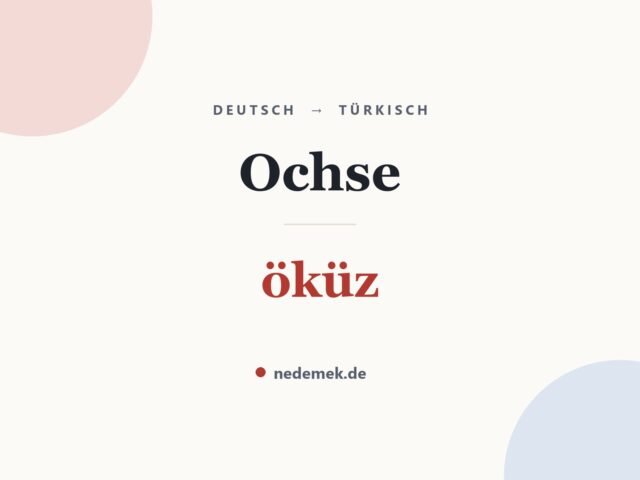Ochse auf Türkisch: öküz