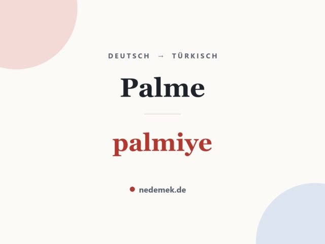 Palme auf Türkisch: palmiye