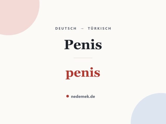 Penis auf Türkisch: penis