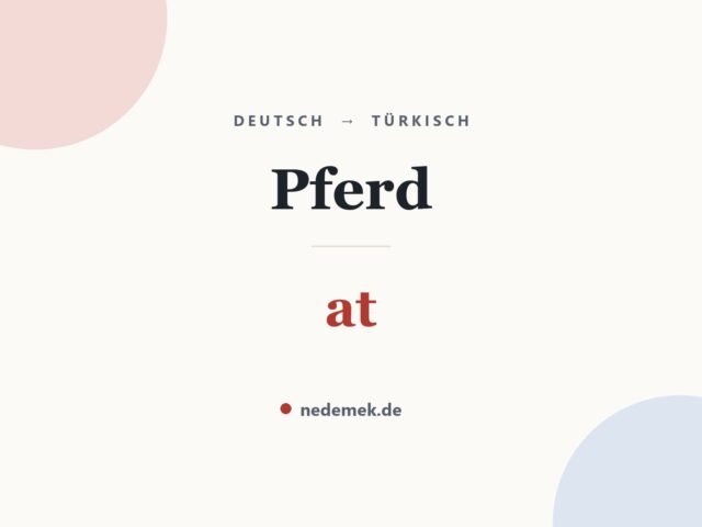 Pferd auf Türkisch: at