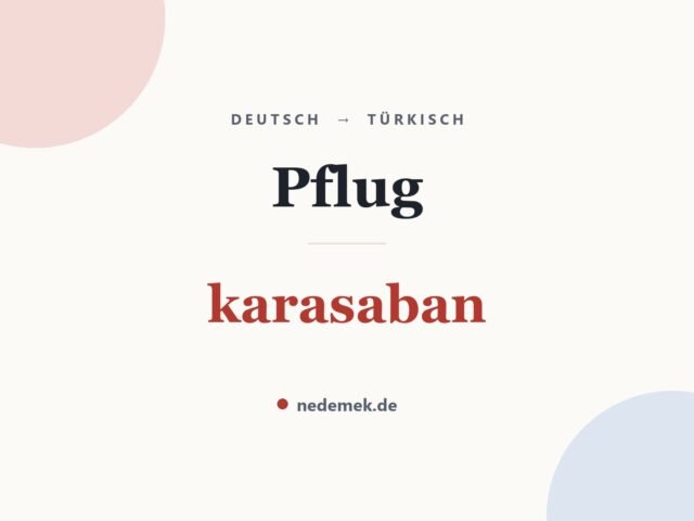 Pflug auf Türkisch: karasaban