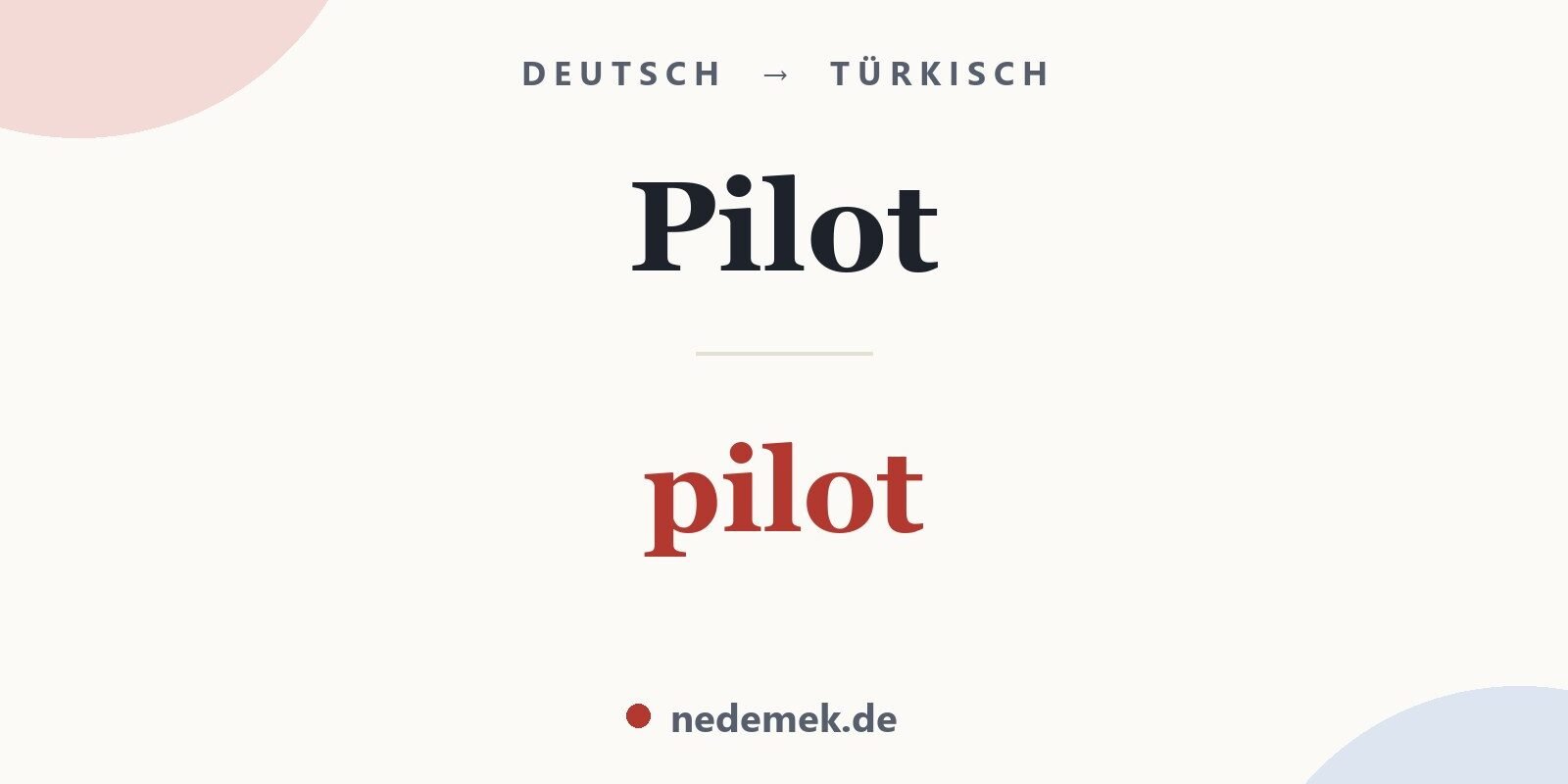 Pilot auf Türkisch: pilot