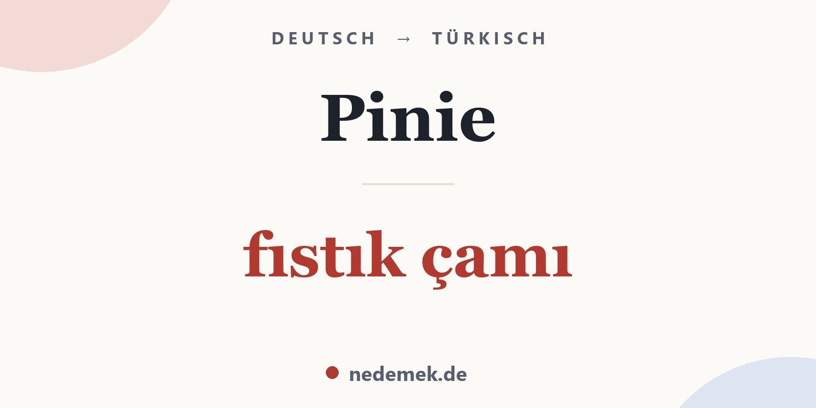 Pinie auf Türkisch: fıstık çamı