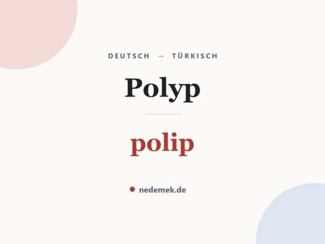 Polyp auf Türkisch: polip