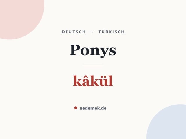 Ponys auf Türkisch: kâkül