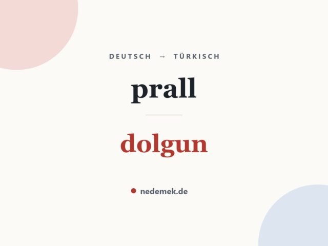 prall auf Türkisch: dolgun
