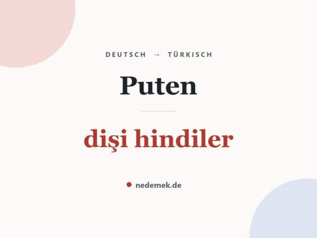Puten auf Türkisch: dişi hindiler
