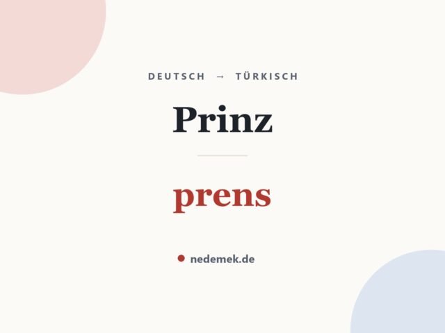 Prinz auf Türkisch: prens
